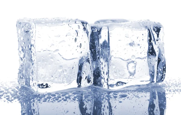 Par de cubos de gelo — Fotografia de Stock