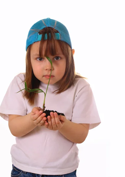 Uma menina segura uma planta nas mãos — Fotografia de Stock