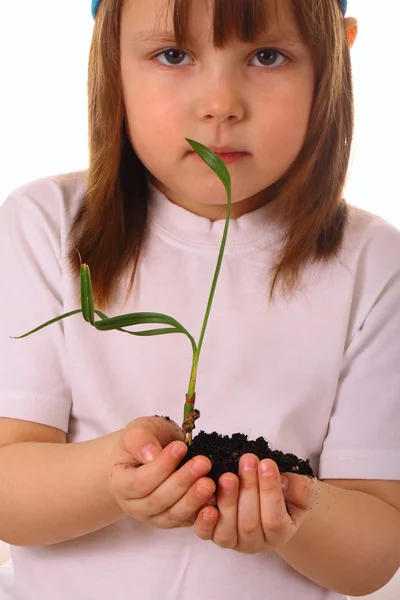 小女孩在她的手小心地中保存植物 — 图库照片