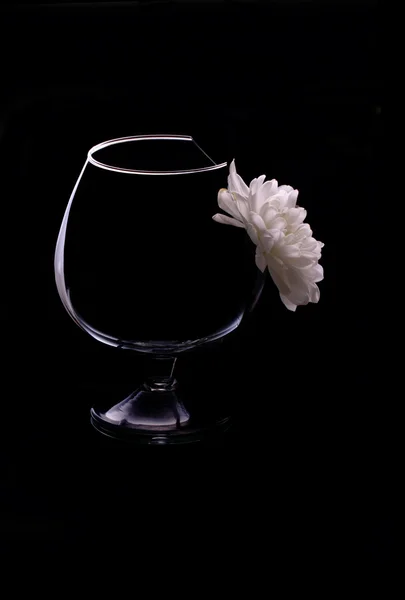 Una flor de crisantemo en la copa de vino — Foto de Stock