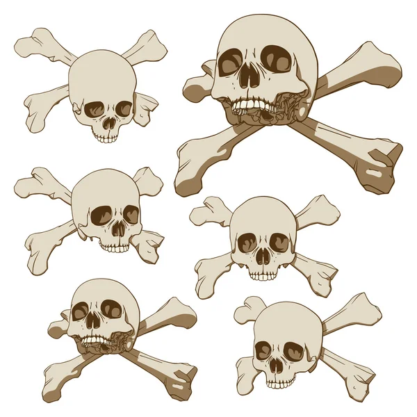 stock vector Five skulls set