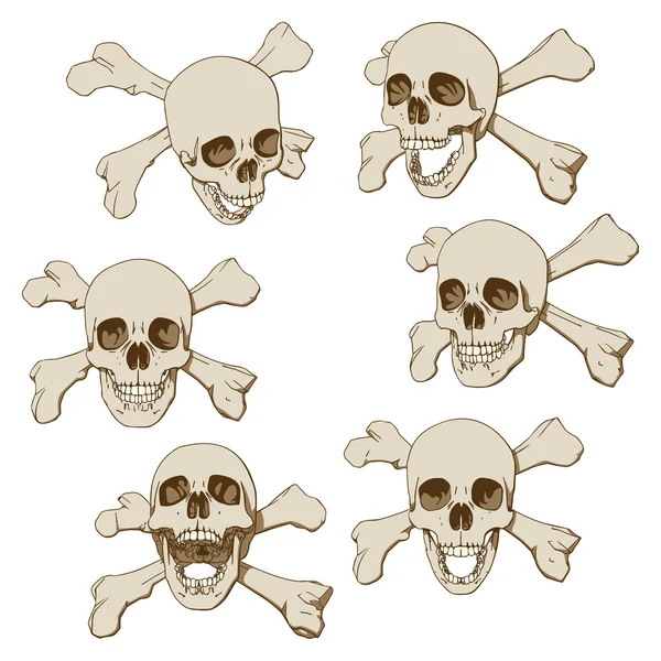 Шесть черепов — стоковый вектор