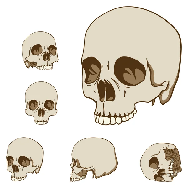 Zestaw pięciu czaszki — Wektor stockowy