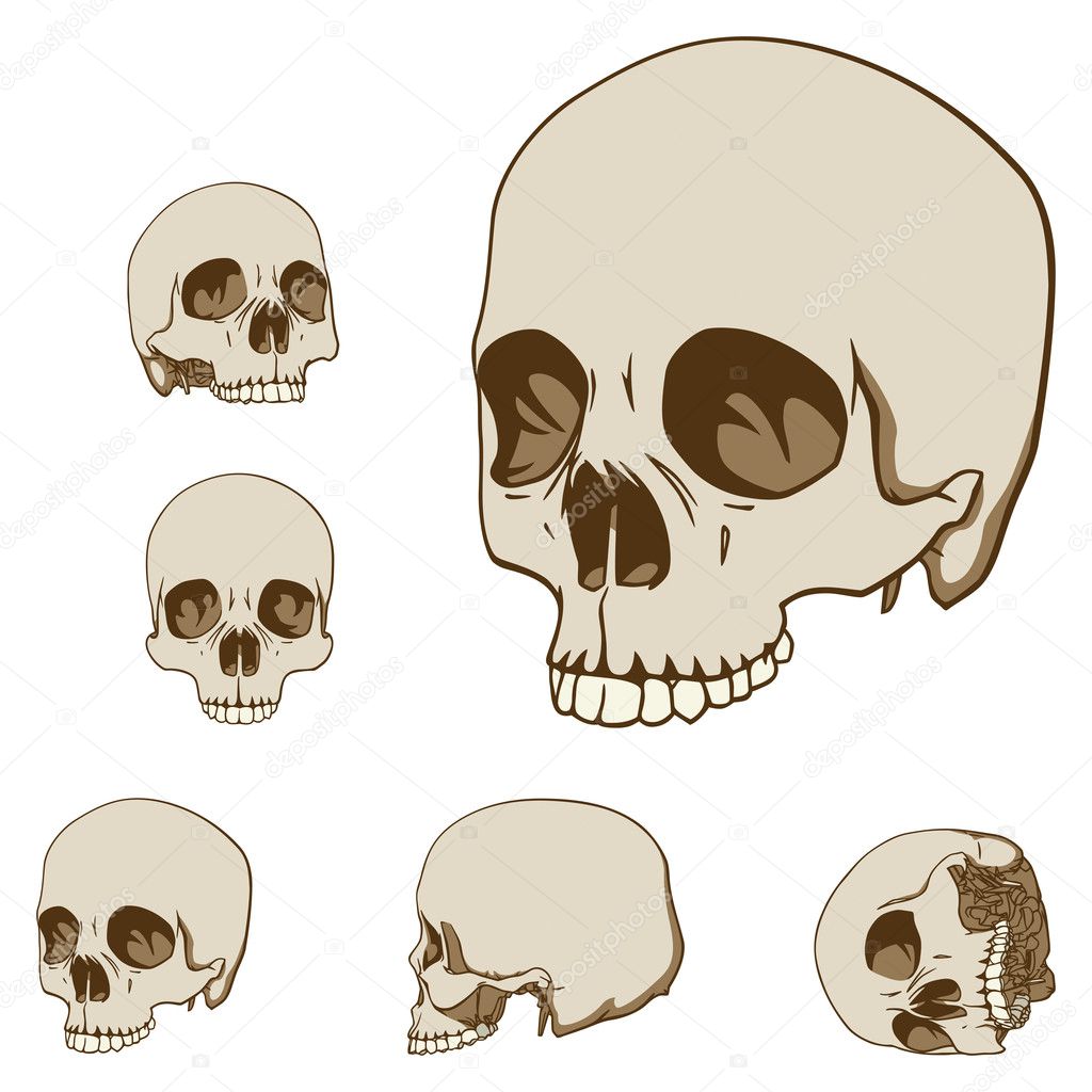 Five skulls set