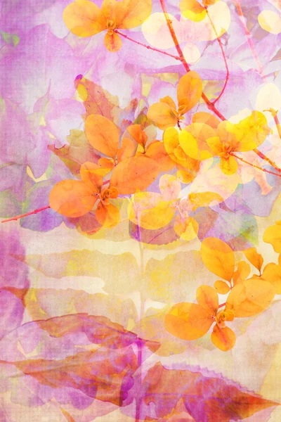 Декоративний гранжевий фон з натуральним листям папороті — стокове фото