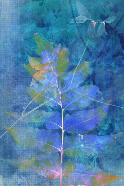 Beautiful blue grunge background with natural leaves in blue — Stock Photo, Image