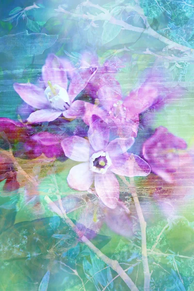 Flores naturais grunge bonito, fundo artístico — Fotografia de Stock