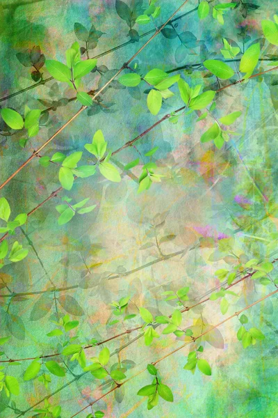 美丽的天然树叶 grunge、 艺术背景 — 图库照片