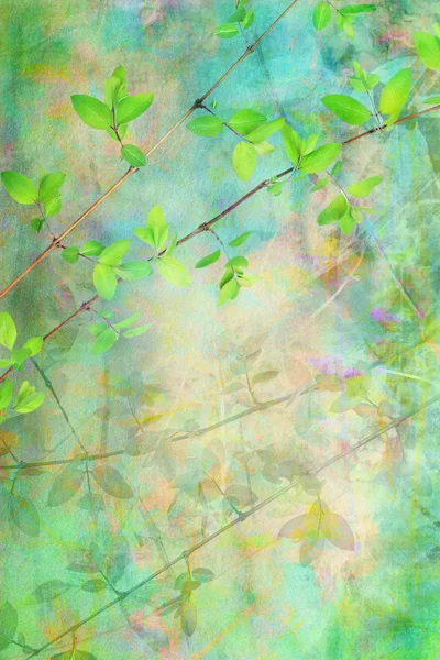 美丽的天然树叶 grunge、 艺术背景 — 图库照片