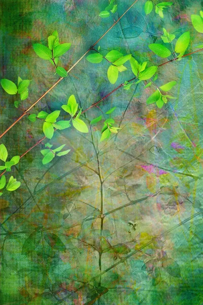 Doğal yaprak grunge güzel, sanatsal arka plan — Stok fotoğraf