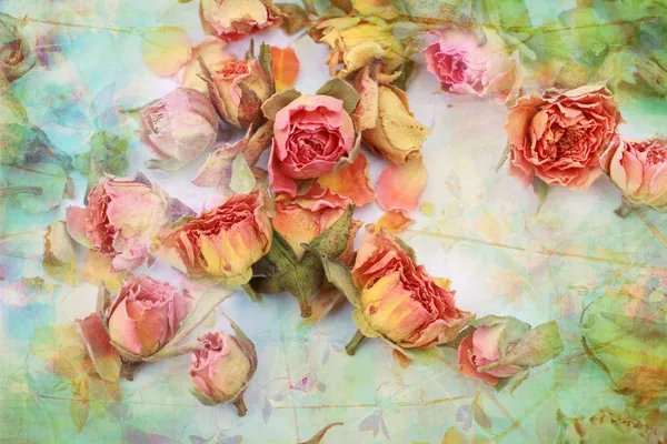Dry roses beautiful vintage background — Stock Photo, Image