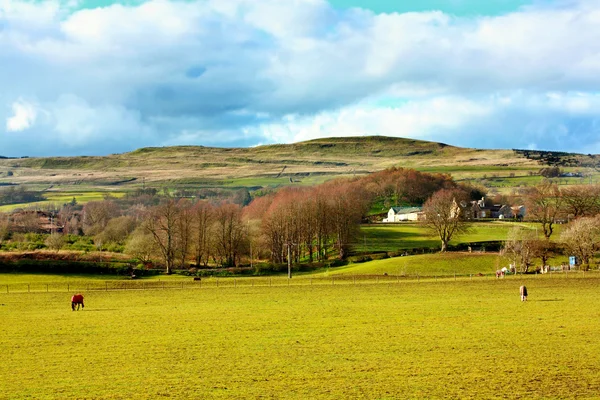 Manzara güzel bahar, İskoçya — Stok fotoğraf