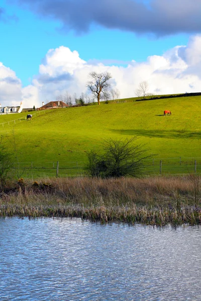 Prachtige lente landschap, Schotland — Stockfoto