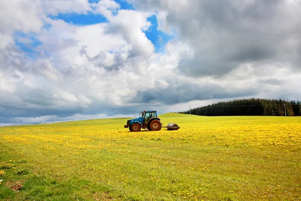 Travaux agricoles de printemps dans les champs — Photo