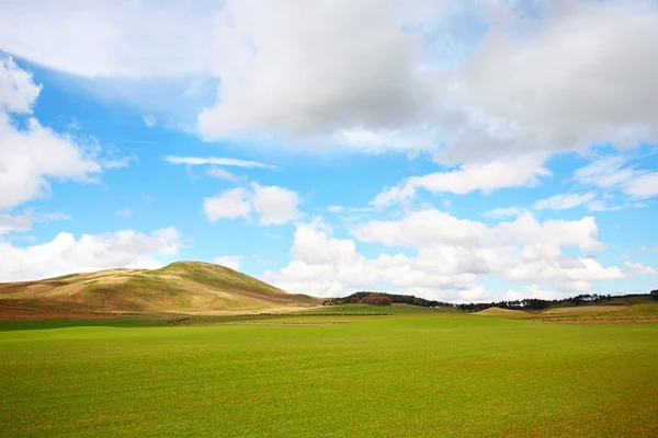 Прекрасный весенний пейзаж с холмами и белыми облаками — стоковое фото