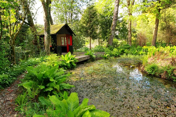 Schöner romantischer Garten mit Teich im Frühling — Stockfoto
