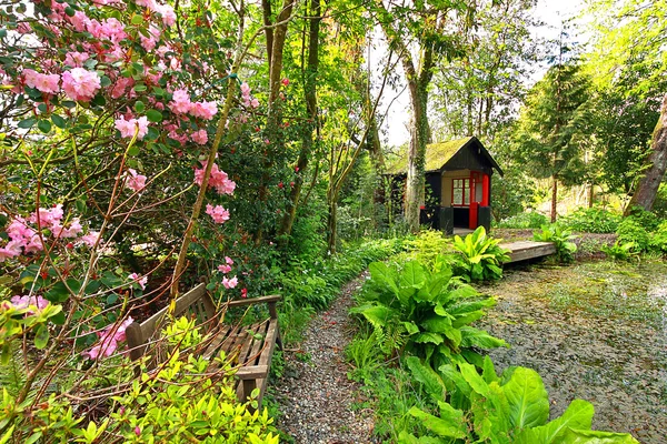 Vacker romantisk trädgård på våren — Stockfoto