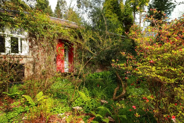 Jardim velho com uma casa de campo velha — Fotografia de Stock