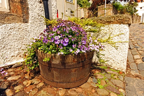 Vaso de madeira com flores bonitas — Fotografia de Stock