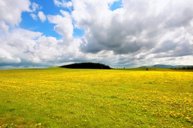 İskoçya'da manzara güzel bahar