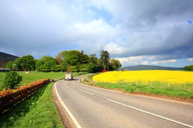 Rural Scottish road with fields of rape clipart