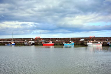 arbroath, İskoçya