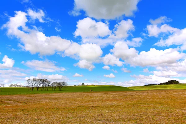 Hermoso paisaje de primavera en Escocia — Foto de Stock