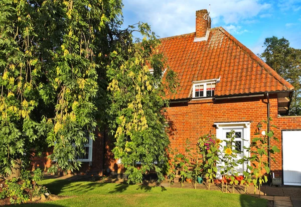 夏の日のヒマワリとの素敵な家 — ストック写真