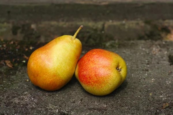 Dos peras maduras en el jardín — Foto de Stock