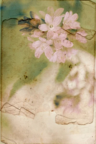 Fondo vintage con flores de primavera — Foto de Stock