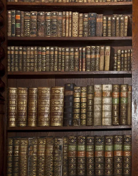 Historic old books in old shelf library Stock Picture