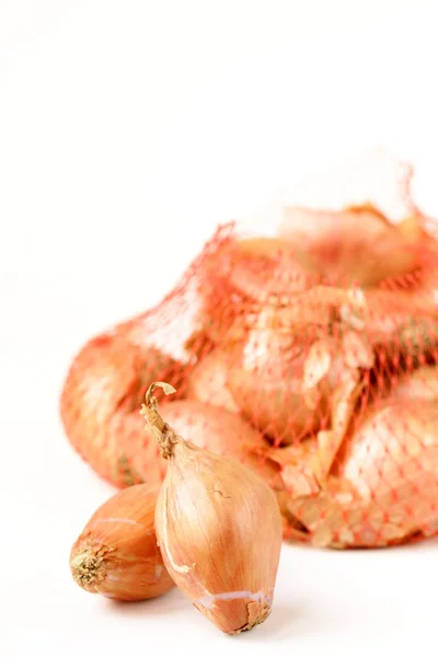 stock image Elite onion shallot on a white background