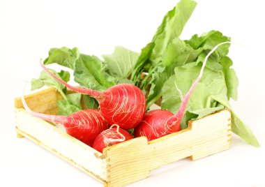 beyaz zemin üzerine kırmızı olgun turp demet