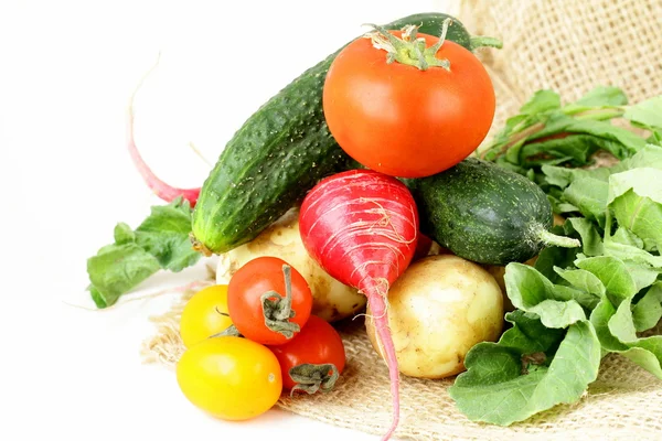 Various vegetables (tomatoes, radishes, cucumbers) on a white background — Stock Photo, Image