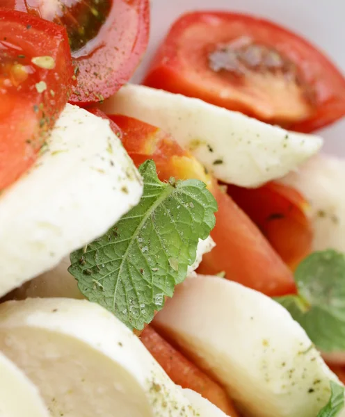 Macro shot close-up of salad tomatoes and mozzarella cheese — Stock Photo, Image