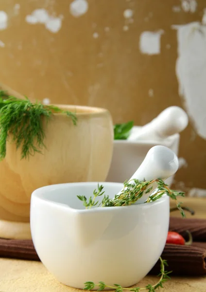 Group of mortars with various herbs — Stock Photo, Image