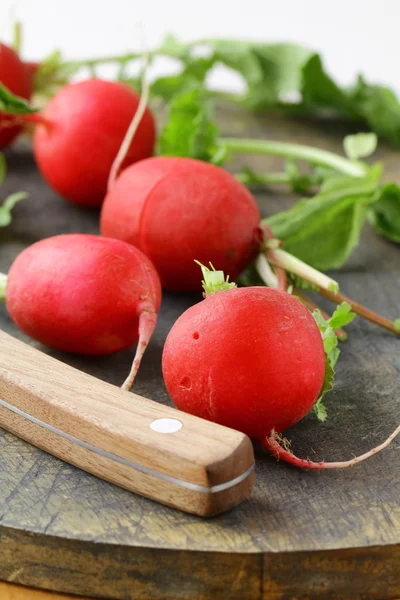 Resh radishes on a wooden cutting board — Stock Photo, Image