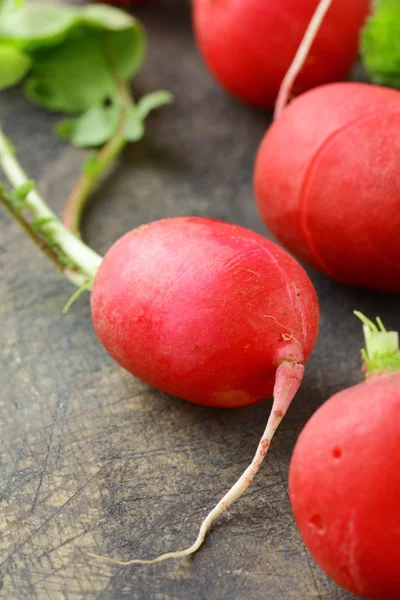Red ripe radish macro shot — Stock Photo, Image