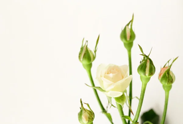 Boeket veelkleurige rozen, kleine sprays — Stockfoto