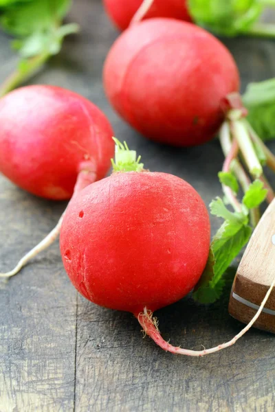 Red ripe radish macro shot — Stock Photo, Image