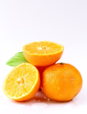 taze sulu mandalina, mandalina