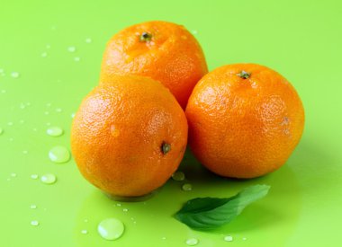 taze sulu mandalina, mandalina
