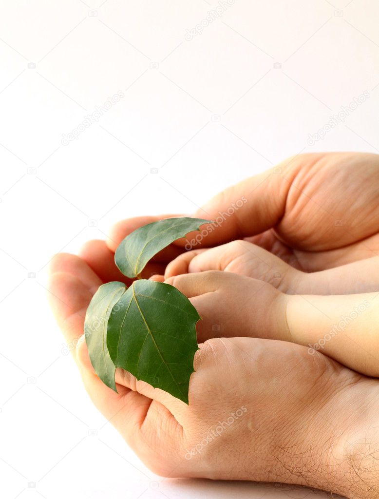 Father's and baby's hands holding plant
