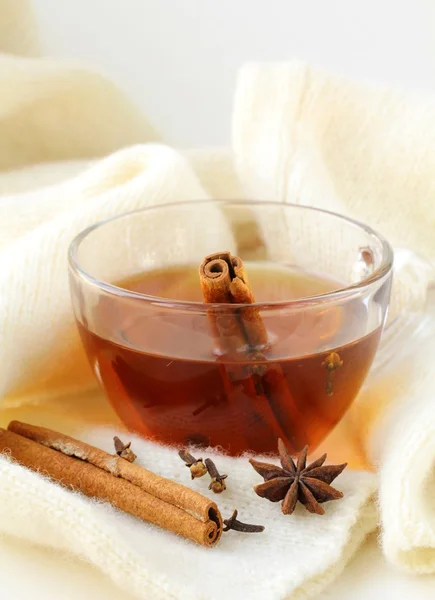 Tee mit Gewürzen - Zimt, Nelke und Anis — Stockfoto