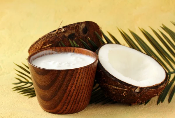 Leite de coco e coco com ramo de palma — Fotografia de Stock