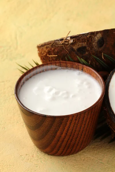 Coconut and coconut milk with palm branch — Stock Photo, Image
