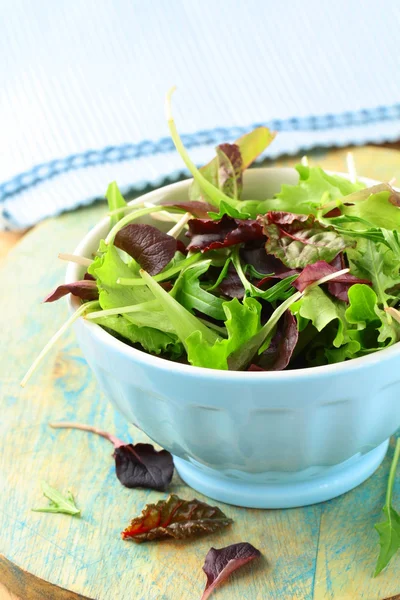 Mix salad (arugula, iceberg, red beet) in a bowl on the table — Stock Photo, Image