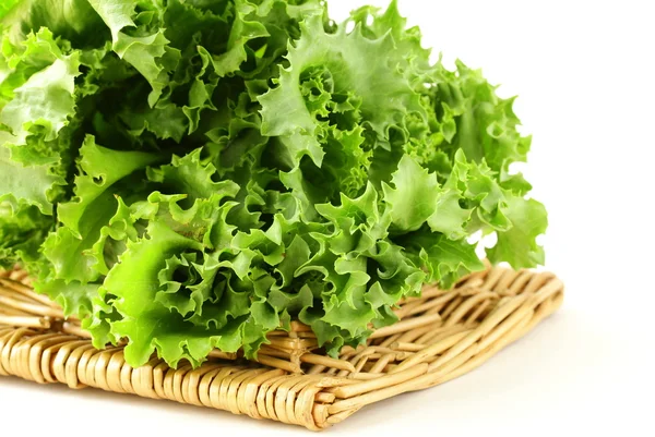 Green lettuce on the fence stand on a white background — Stock Photo, Image