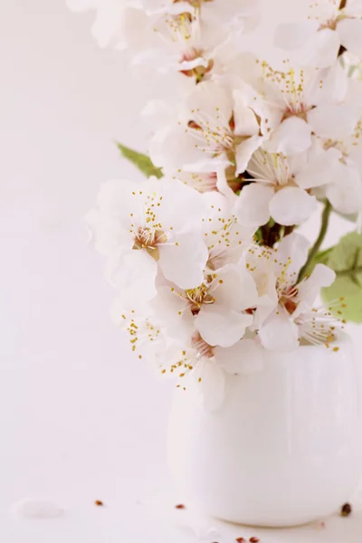 Buquê de flores sakura, ramo de cereja — Fotografia de Stock