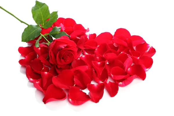 Hermoso corazón de pétalos de rosa roja —  Fotos de Stock